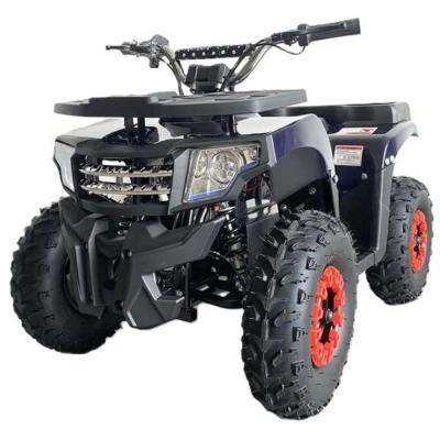 Электрический квадроцикл IKINGI K8 2000W