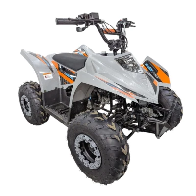 Квадроцикл Regulmoto SK11 110сс