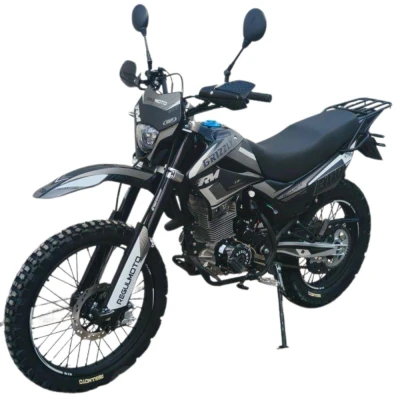Мотоцикл Regulmoto Grizzly PR300 с ПТС