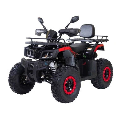 Квадроцикл Racer (Рейсер) RC200 Gladiator (мотокомплект)
