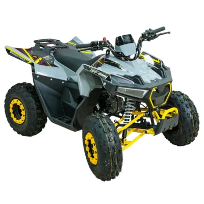 Квадроцикл MOTAX GRIZLIK RAPTOR D125 (мотокомплект)