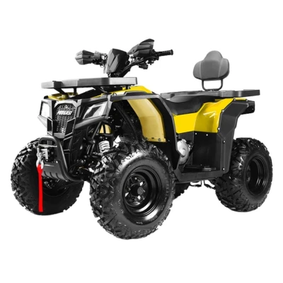 Квадроцикл PROGASI Race Jumper 200 Max Power (мотокомплект)