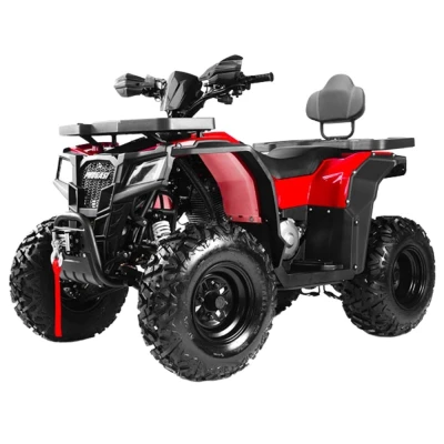 Квадроцикл PROGASI Race Jumper 200 SE (мотокомплект)
