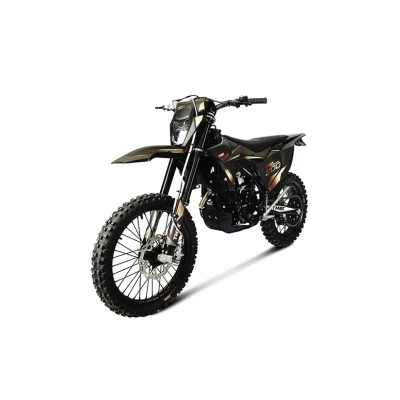 Мотоцикл эндуро TMBK MAGNETIC 300 (PR300)