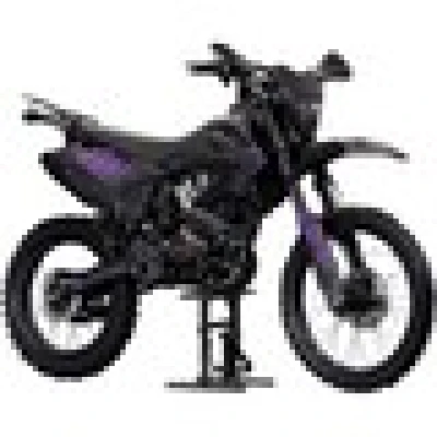 Мотоцикл эндуро DAREX TIMER 300