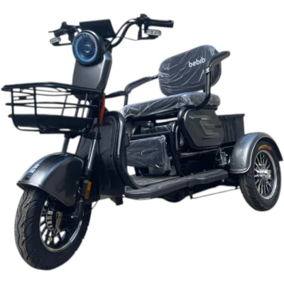 Электротрицикл BEBIB Model Trike