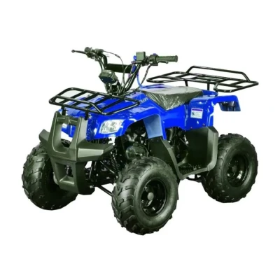 Квадроцикл Motoland ATV 110 RIDER (мотокомплект)