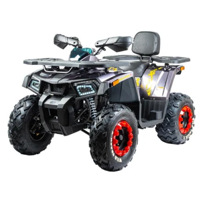Квадроцикл Motoland WILD TRACK X 200 (мотокомплект)