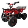 Электрический квадроцикл QMC ECO Torino 800W LED