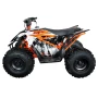 Квадроцикл KAYO AT110