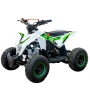 Квадроцикл MOTAX GEKKON 90