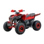 Квадроцикл Sport Energy AFF125