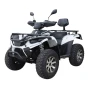 Квадроцикл Linhai LH40DA (3900W 50 км/ч)