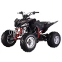 Квадроцикл Mikilon Y65 PENTORA 250cc