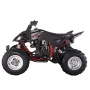 Квадроцикл Mikilon Y65 PENTORA 250cc