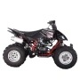 Квадроцикл Mikilon Y65 PENTORA 250cc