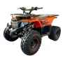 Квадроцикл WELS THUNDER AX 125 PRO (мотокомплект)
