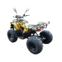 Квадроцикл GreenCamel Атакама T320 48V 1000W R8 