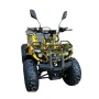 Квадроцикл GreenCamel Атакама T320 48V 1000W R8 
