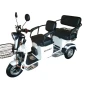 Электрический трицикл Shtenli Model XL SLA 20Ач60В 