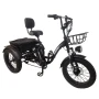 Электровелосипед трехколесный Shtenli Trike xMax 48V15,6A
