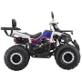 Квадроцикл AVM Thunder 200