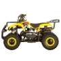 Квадроцикл AVM Grizlik 49 МАХ