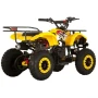 Квадроцикл AVM Grizlik 49 МАХ