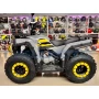 Квадроцикл Regulmoto TBM Thunder 150