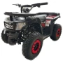 Электрический квадроцикл IKINGI K6 1000W