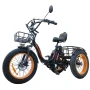 Электровелосипед Kugoo Trike