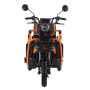 Электротрицикл Kugoo T3