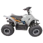 Квадроцикл Regulmoto SK11 110сс