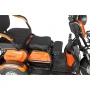 Электротрицикл Rutrike Gelbert Caf 600W