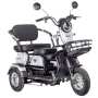 Электротрицикл Rutrike Gelbert Caf 600W