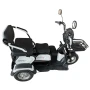 Электрический трицикл SHTENLI Model 31 SLA 60V 20Ah