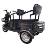 Электротрицикл SMD TRIKE PLUS