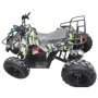 Электроквадроцикл Storm Evo 1000w