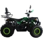 Квадроцикл ATV Storm 200 All Road Manual ЭПТС