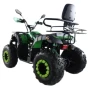 Квадроцикл ATV Storm 200 All Road Manual ЭПТС