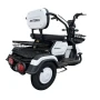 Электрический трицикл SHTENLI Model 31 li-ion 20Ah60V