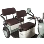Электротрицикл Rutrike Gelbert Beta 48V/60V 800Вт
