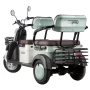 Электротрицикл Rutrike Gelbert Beta 48V/60V 800Вт