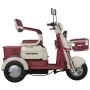 Электротрицикл Rutrike Gelbert Mercury 48V/60V 650Вт