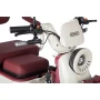 Электротрицикл Rutrike Gelbert Mercury 48V/60V 650Вт