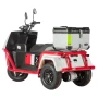 Электротрицикл Wanshida DOUHAO 60V 800Вт