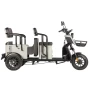 Электротрицикл Wanshida LC300 60V 1000Вт