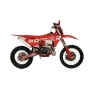 Мотоцикл STN G11 300 2T PRO (без прогрессии)