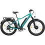 Электровелосипед Eltreco BigCat Dual Next