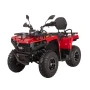 Купить электроквадрицикл Bizon YK250EL LUX